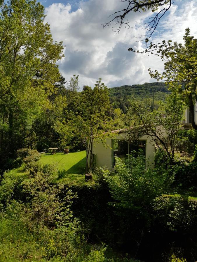 Beautiful Studio Surrounded By Nature Lanet Exteriér fotografie
