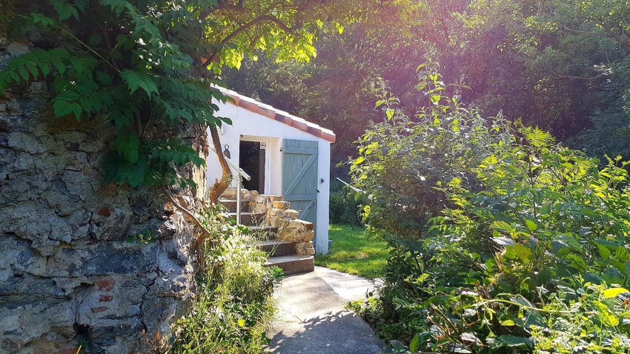 Beautiful Studio Surrounded By Nature Lanet Exteriér fotografie